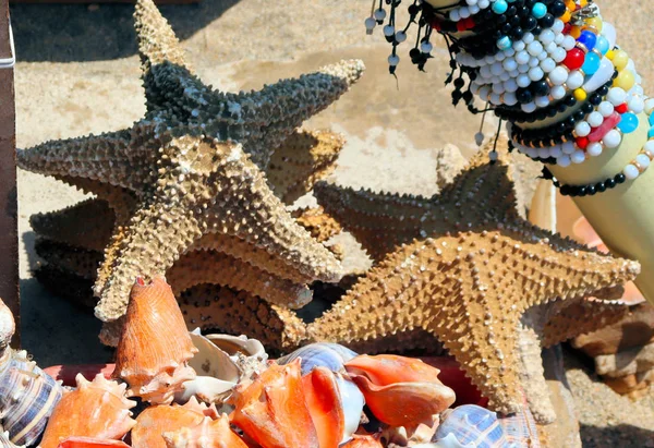 Souvenirs Money Colombia Views Sea Seashells — Stock Photo, Image