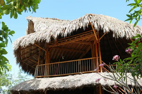 Ecologia Haus Aus Bambus Schilf Und Holz Den Bergen Kolumbiens — Stockfoto