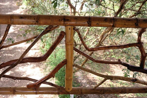 Ecologia Casa Hecha Bambú Caña Madera Las Montañas Colombia —  Fotos de Stock