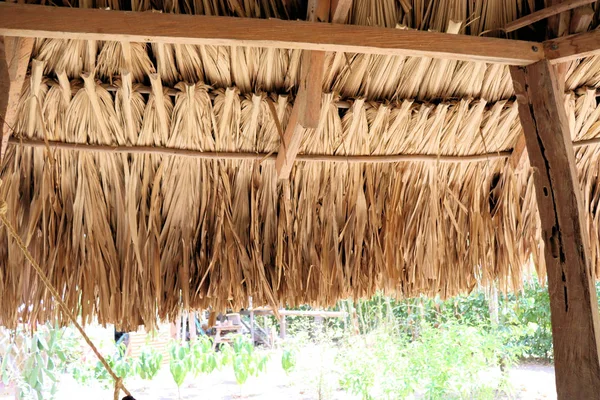 Culto Malocha Para Cerimônias Índios Kogi Arunaki Nas Montanhas Colômbia — Fotografia de Stock