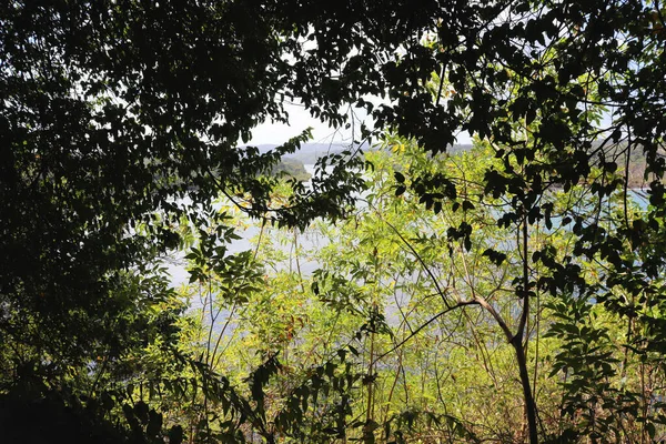 Pantai Karibia Dekat Terusan Panama Hutan Hujan — Stok Foto