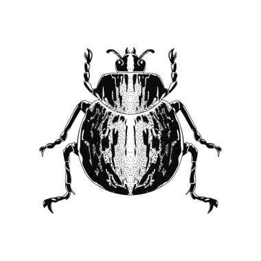 Vintage Biçimli El Çekimi Böceği