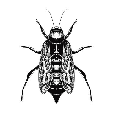 Vintage Biçimli El Çekimi Böceği