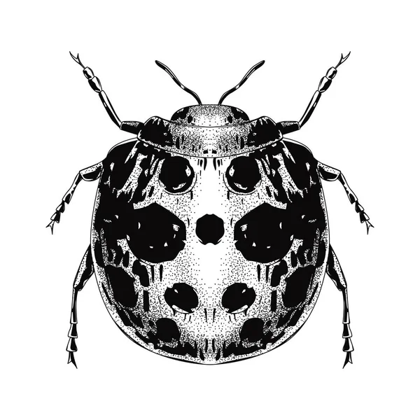 Vintage Biçimli El Çekimi Böceği