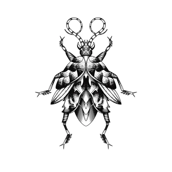 Resumen Insect Estilo Vintage — Vector de stock