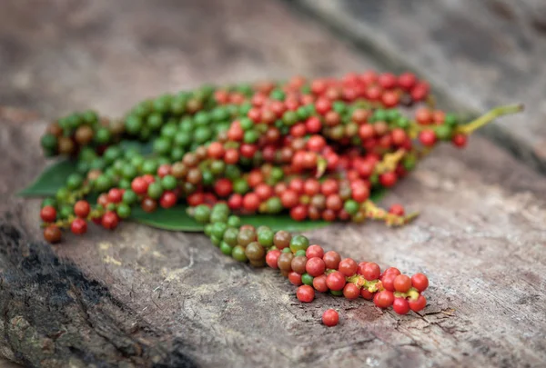 Fresh green and red peppercorns with leaf isolated on old wooden — Stock Photo, Image