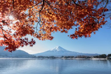Mt Fuji view from lake Kawaguchiko in autumn color clipart