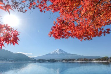 Sonbahar renginde Kawaguchiko Gölü 'nden Fuji Dağı manzarası