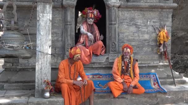 KATHMANDU, NEPAL - 25 MARZO 2017: Yogi a Pashupatinath nepal, Tempio nepal di Kathmandu, Nepal . — Video Stock