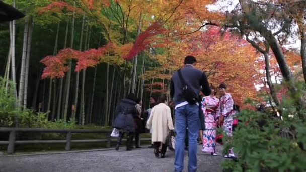 Kyoto, Japan - Nov, 21 2016: De toerist bezoekt via herfst bij Shee bamboebos, Kyoto, prefectuur Kioto, Japan — Stockvideo