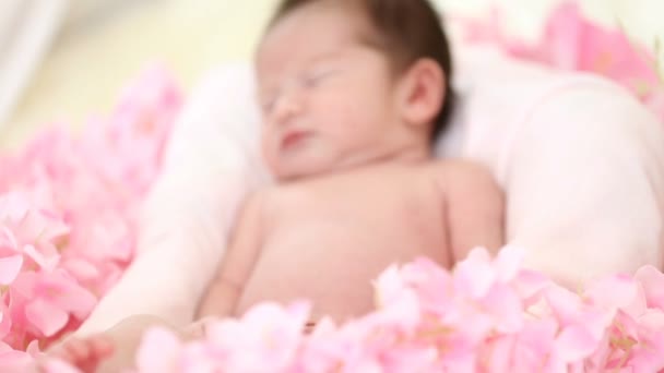 Newborn sleep with pink flower bloom. — Stock Video
