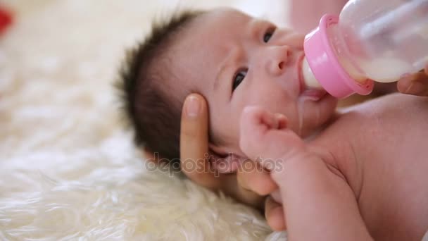 Neugeborenes isst Milch aus Flasche. — Stockvideo