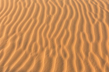 Kum doku dalgası. MUI Ne, Vietnam.