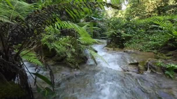 Cascata Nella Foresta Pluviale Nel Nord Della Thailandia — Video Stock