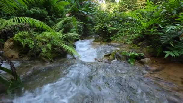 Cascata Nella Foresta Pluviale Nel Nord Della Thailandia — Video Stock