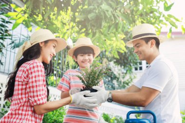 Aile, evin yanındaki bahçeye ağaç dikmeye yardım ediyor.