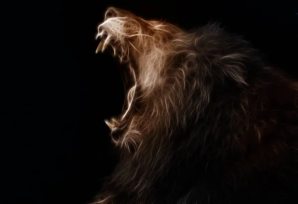 Digital illustration of a lion — Stock Photo, Image