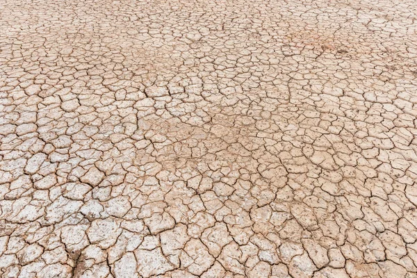 Soil drought cracked landscape — Stock Photo, Image