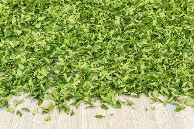 arka plan çay yaprakları