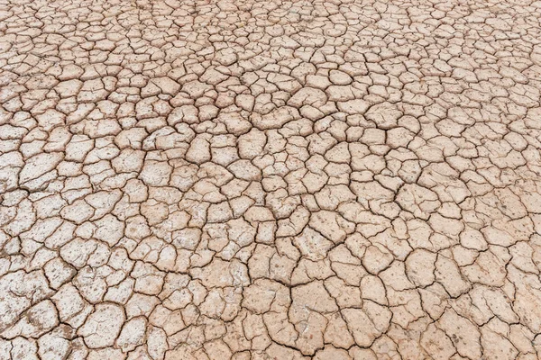 Crack soil texture background — Stock Photo, Image