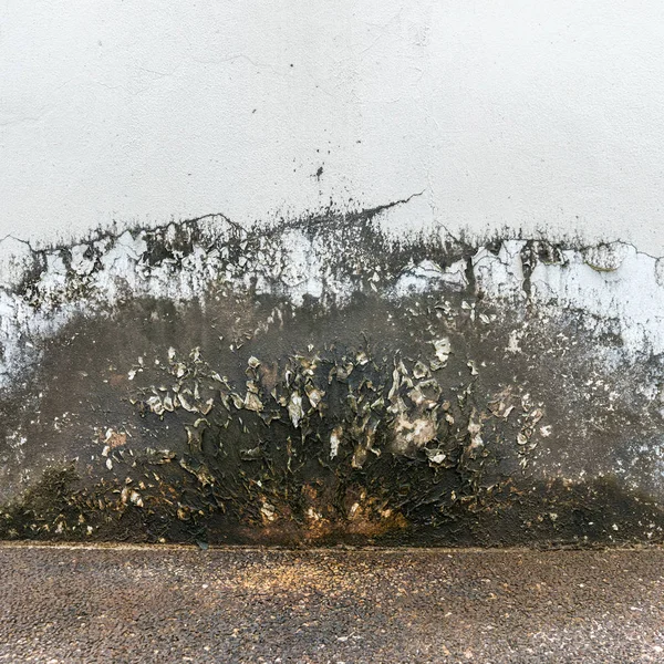 Mildewed walls texture — Stock Image Mildewed walls texture Stock Picture