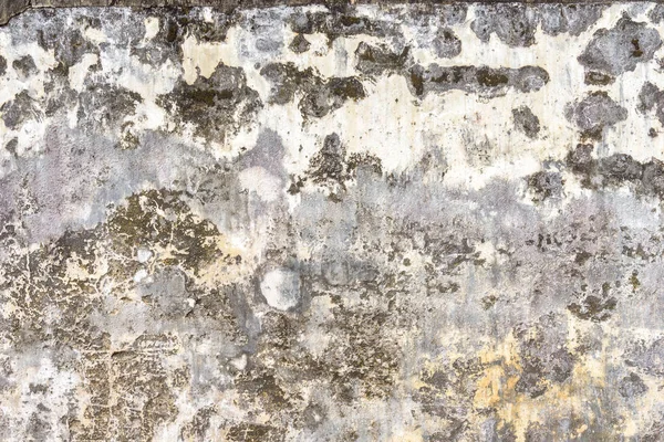 Küflenmiş closeup duvarlar
