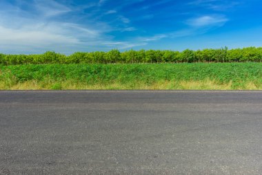 Asfalt yol ve kırsal kez bakıldı