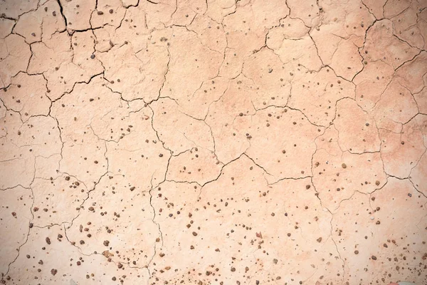 Crack soil texture background — Stock Photo, Image