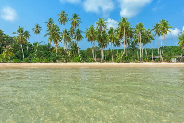 Schöner tropischer Strand und Kokospalme — Stockfoto