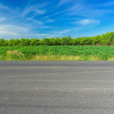 Asfalt yol ve kırsal kez bakıldı