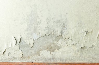 Mildewed duvarları yakın çekim