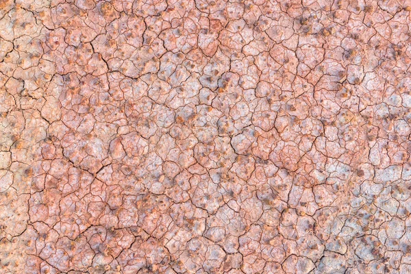 Crack soil texture background — Stock Photo, Image