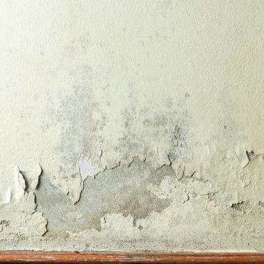 Mildewed duvarları yakın çekim