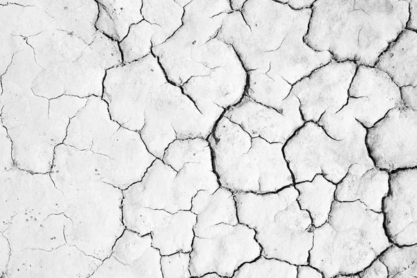 Crack soil texture background — Stock Photo, Image