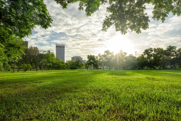 Sabah güneş ışığı ile Park şehir merkezinde yeşil çim sahası