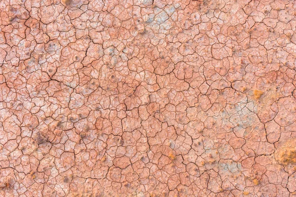 Crack soil texture background — Stock Photo, Image