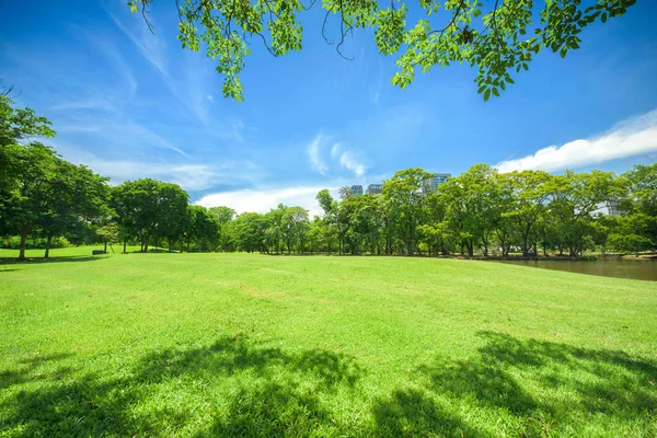 Yeşil çim alan Park mavi gökyüzü ile şehir merkezi 