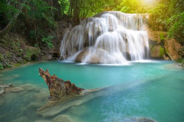 Şelale yağmur ormanlarında Milli Parkı, Tayland at