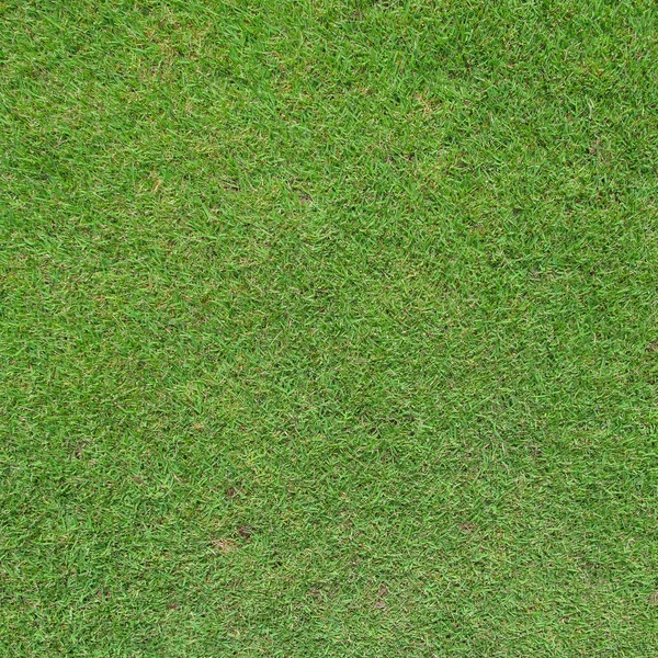Green Grass Field Football — Stock Photo, Image