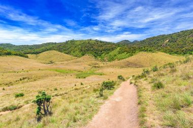 Güzel manzara çayır dünyanın sonu Horton Plains Milli Parkı içinde Sri Lanka dan.