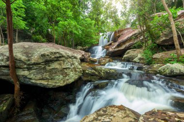 Şelale yağmur ormanlarında Milli Parkı, Tayland at.
