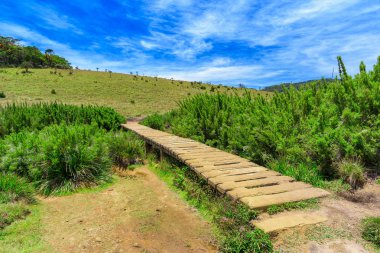 Geçit köprüsü üzerinde yürüyüş Hills Sri Lanka için güzel manzara.