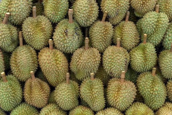 Fechar Durian Mercado — Fotografia de Stock