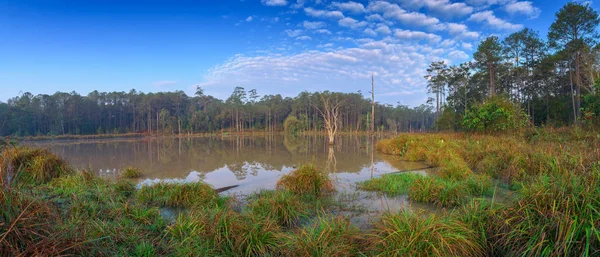 Panoramische Landschaft Der Sümpfe Nationalpark — Stockfoto