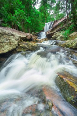 Ormanda, Tayland yeşil ormandaki güzel şelale.