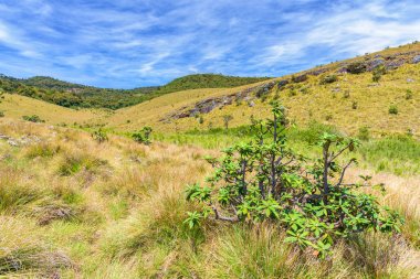 Güzel manzara çayır dünyanın sonu Horton Plains Milli Parkı içinde Sri Lanka dan.