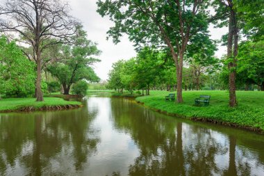 Yeşil çim sahası ile parkta güzel manzara.