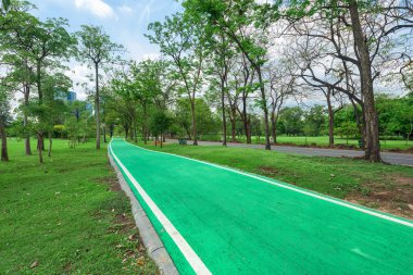 Ağaçlar ve kaldırımlar parktaki yeşil çimlerin üzerinde sabah.