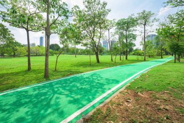 Ağaçlar ve kaldırımlar parktaki yeşil çimlerin üzerinde sabah.