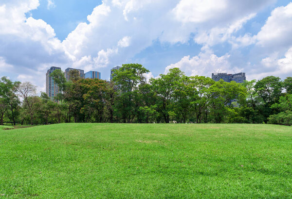 Beautiful landscape in park with green grass field